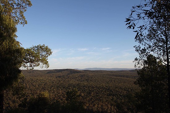 Leard State Forest