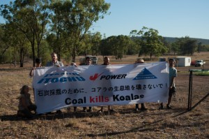 Coal Kills Koalas - Whitehaven Coal's Maules Creek Mine in the Leard State Forest
